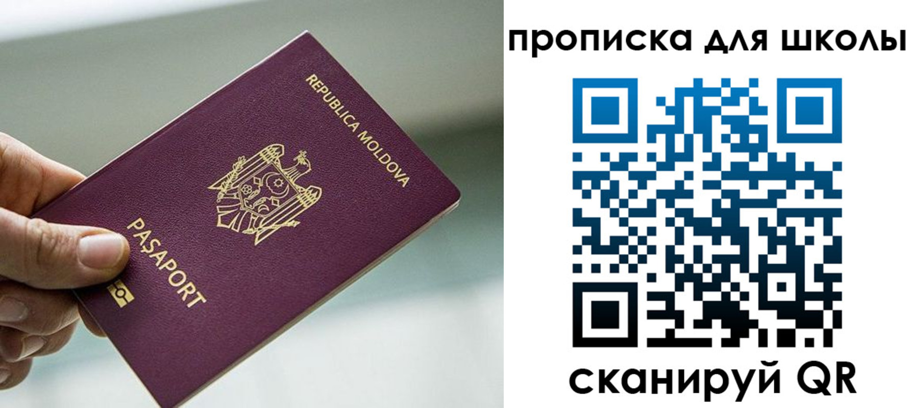прописка в квартире в Котельниках